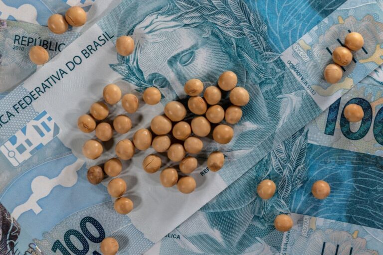 Inadimplência no campo atinge 7,7% da população rural, aponta Serasa Experian