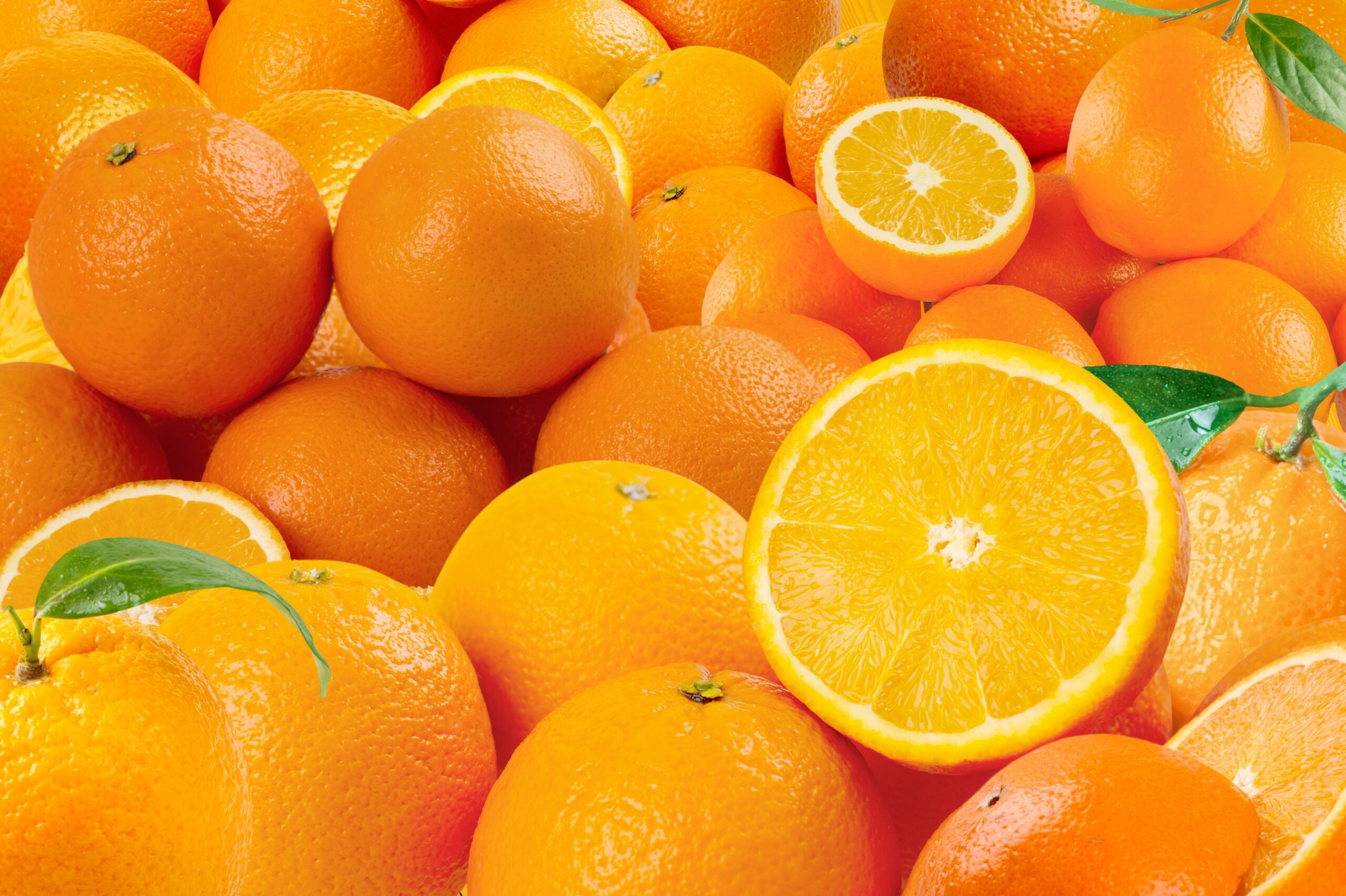 Foto: Adobe Stock
