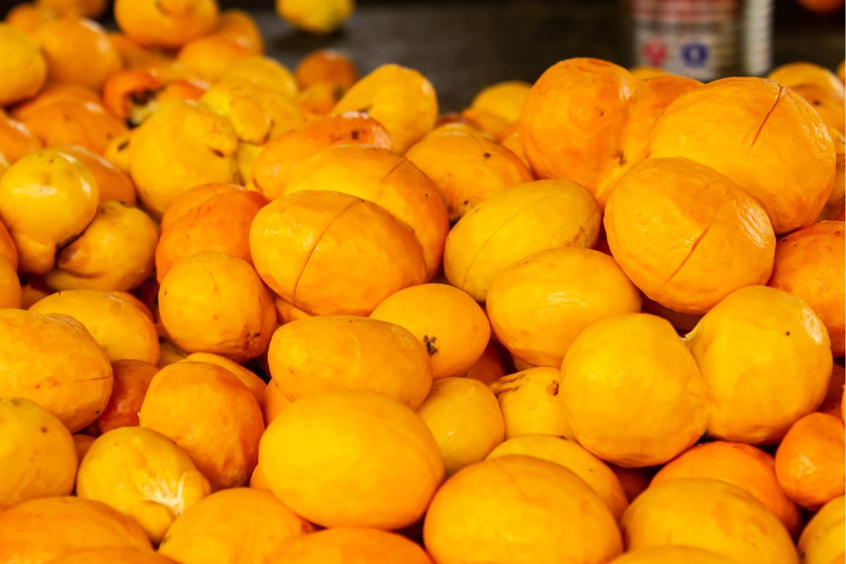O pequi teve a maior variação no preço entre os produtos extrativistas. Foto: Adobe Stock