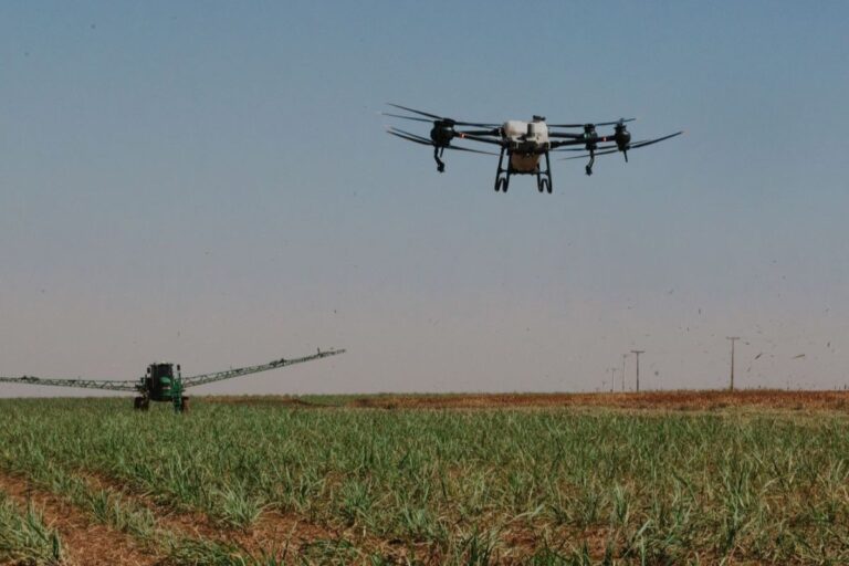 Canaviais paulistas impulsionam pulverização com uso de inteligência artificial