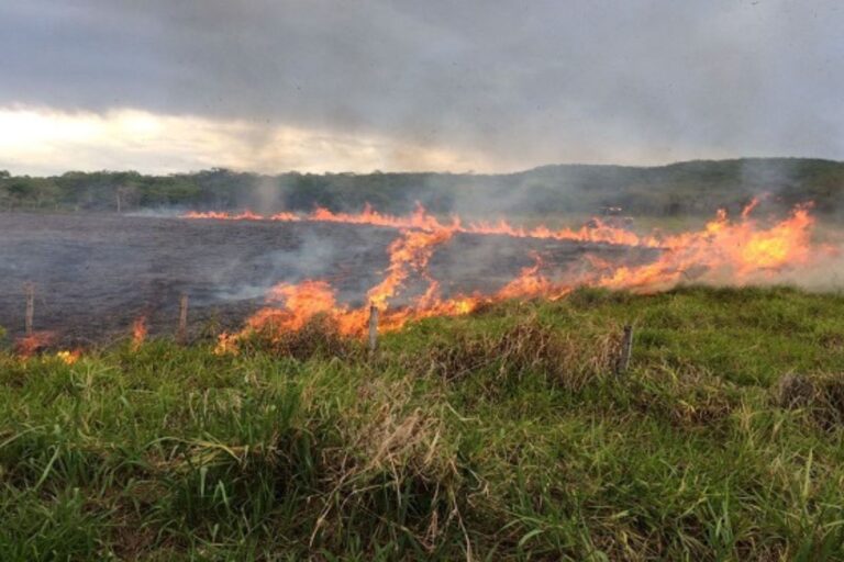 Governo de MS vai simplificar licenciamento do Manejo Integrado do Fogo