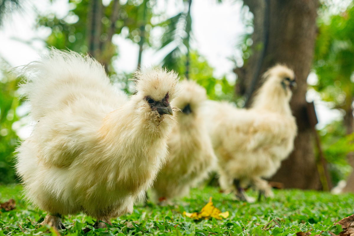 Foto: Adobe Stock