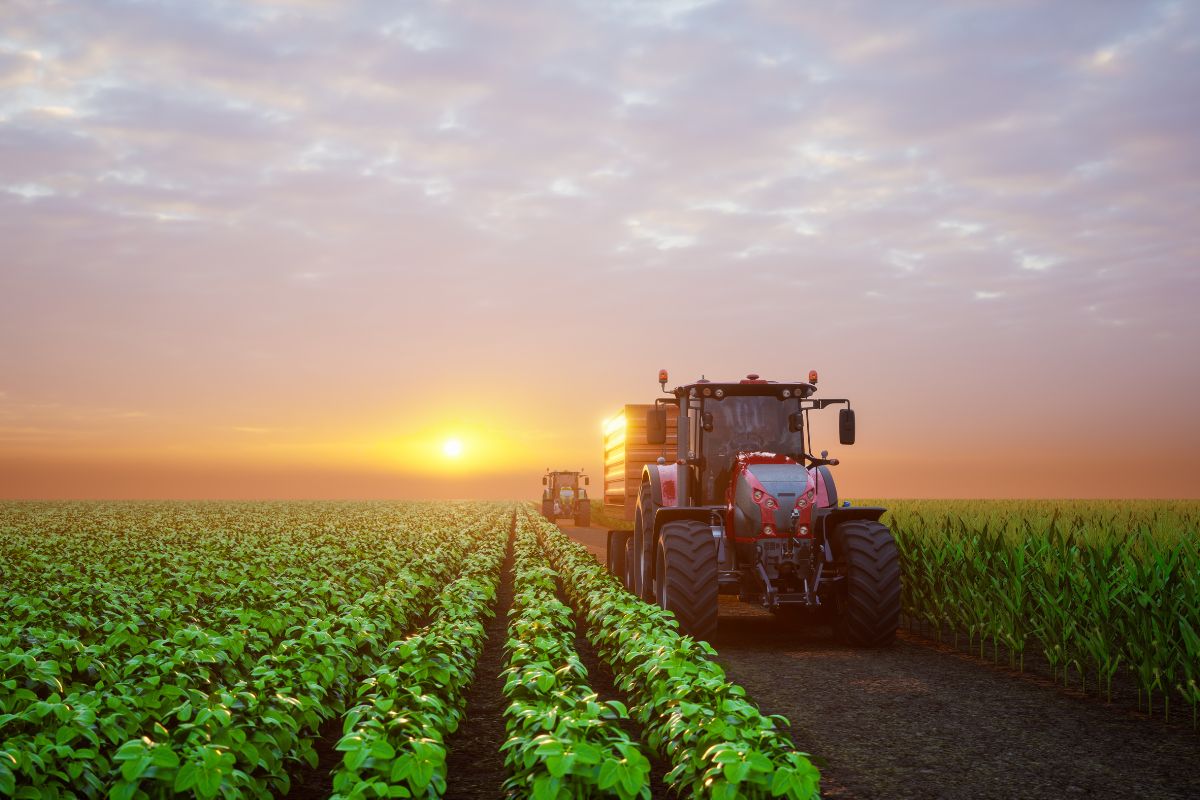 Foto: Adobe Stock