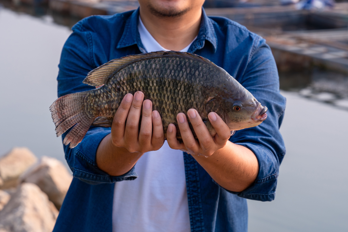 Foto: Adobe Stock