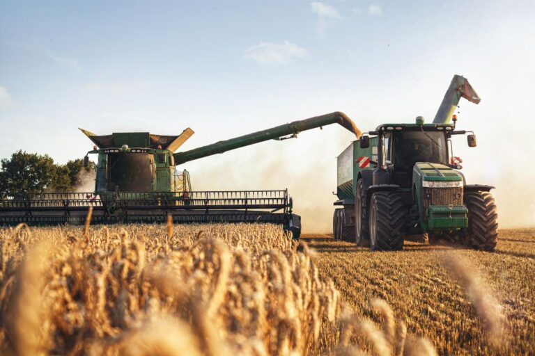 Brasil importou 6,65 milhões de toneladas de trigo em 2024