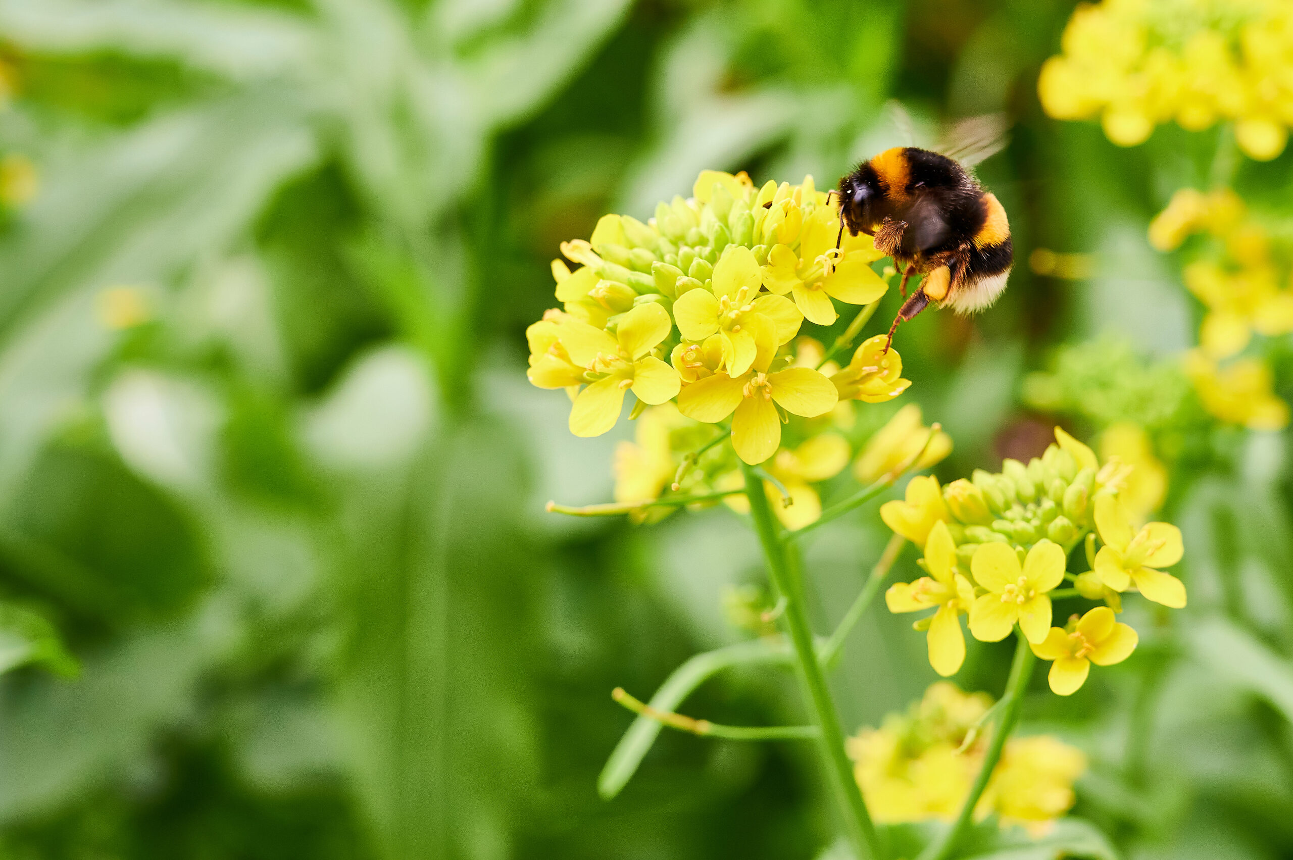 Foto: Adobe Stock