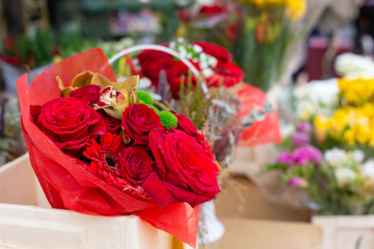 Cansado das mesmas rosas? Descubra as principais opções disponíveis no Brasil