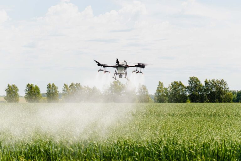 Drones ganham cada vez mais espaço nas lavouras brasileiras