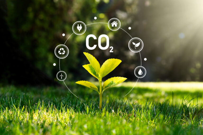 O papel do CO2 Biogênico na agricultura sustentável