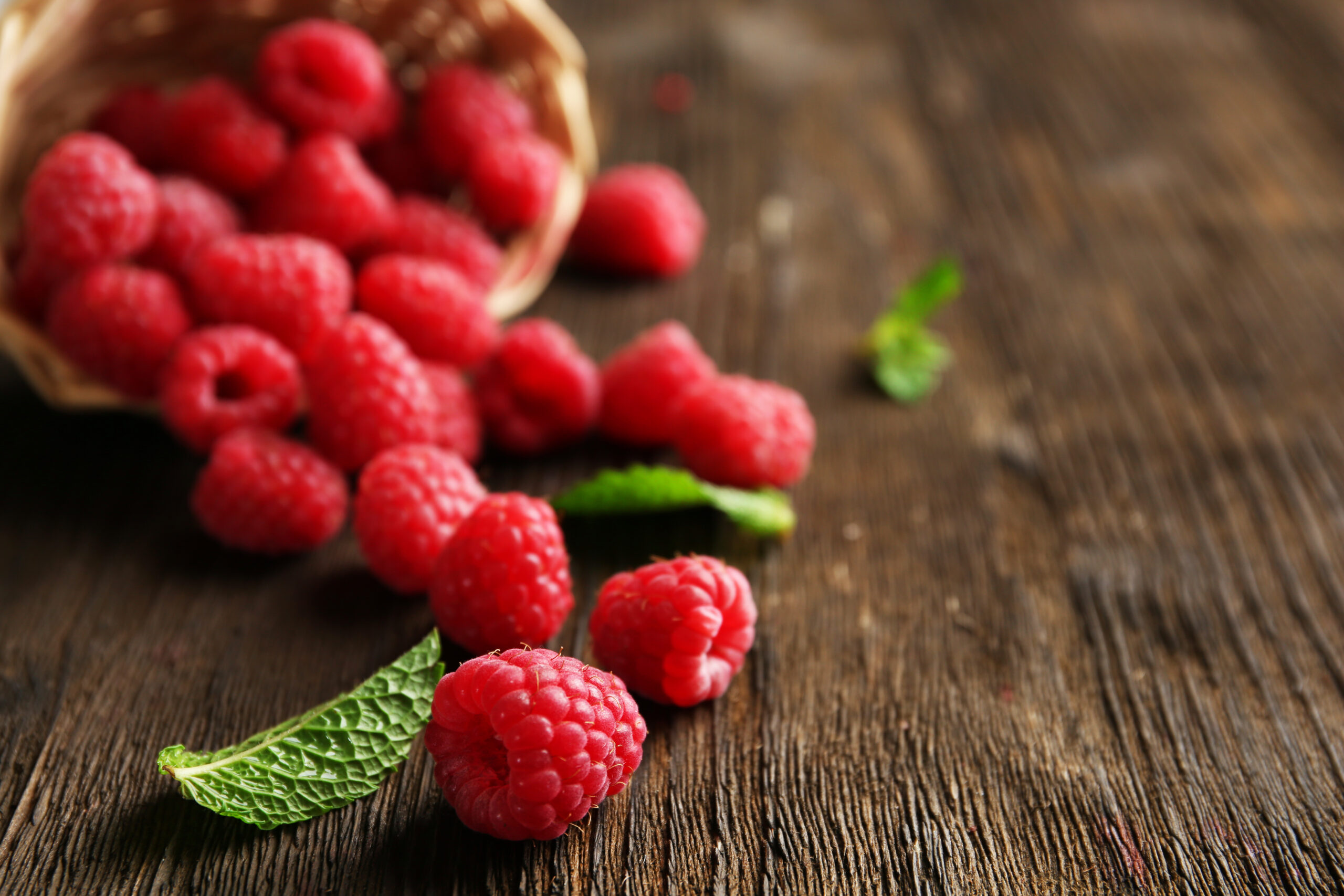 Foto: Adobe Stock