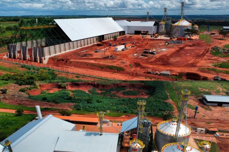 MS terá 1ª indústria de processamento de amendoim com incentivos fiscais