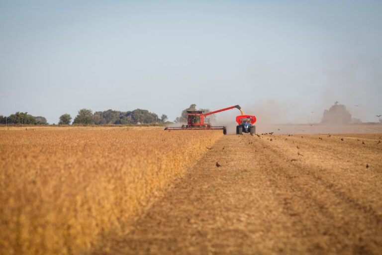 Marcos Fava Neves: 5 pontos para ficar de olho no mercado agro em fevereiro