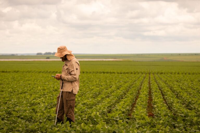 Agro Estadão completa um ano e se consolida como referência em informação para o campo