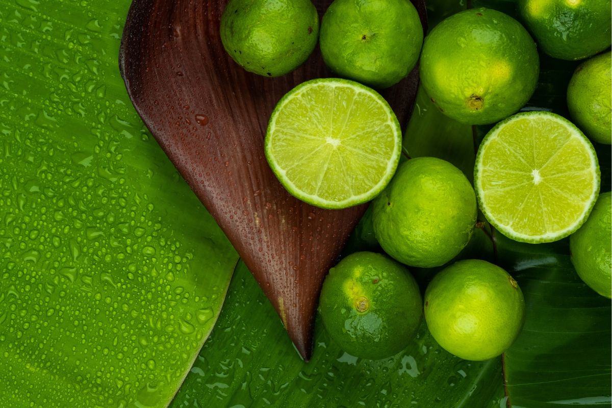 Foto: Adobe Stock