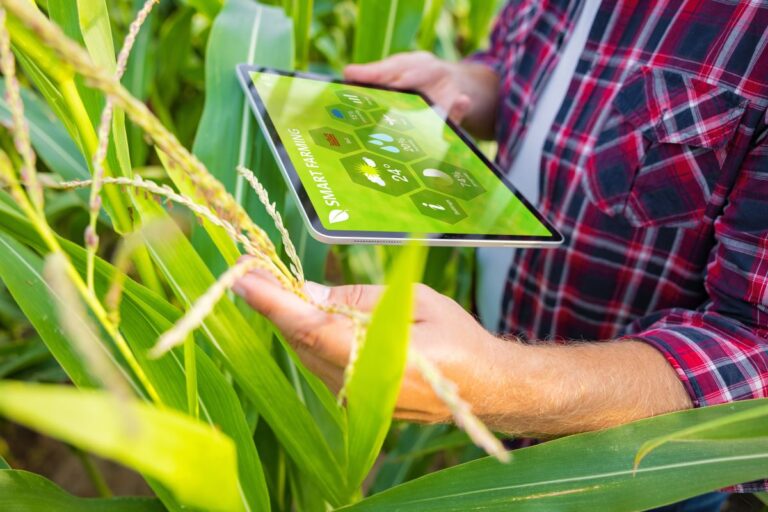 Agro já vê dificuldades nas contratações dentro do ambiente da IA, diz executiva