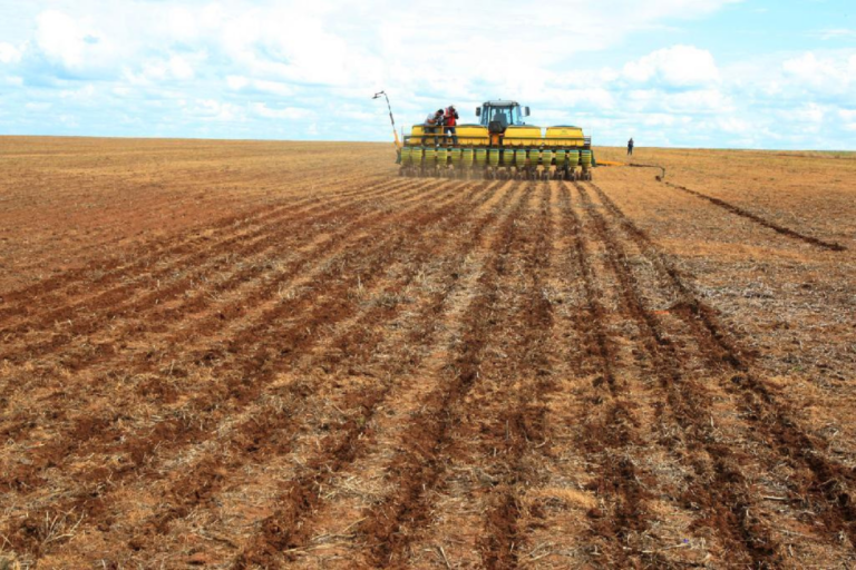 MT: Indea prorroga prazo para cadastro de área cultivada com soja