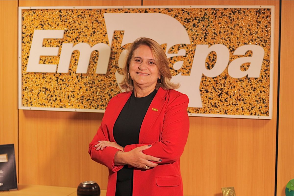 Silvia Massruhá, presidente da Embrapa. Foto: Gabriel Murilo/Agro Estadão
