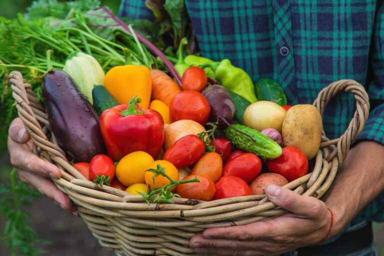 Pequenos produtores: Conab abre chamada para proposta de compra de alimentos via PAA