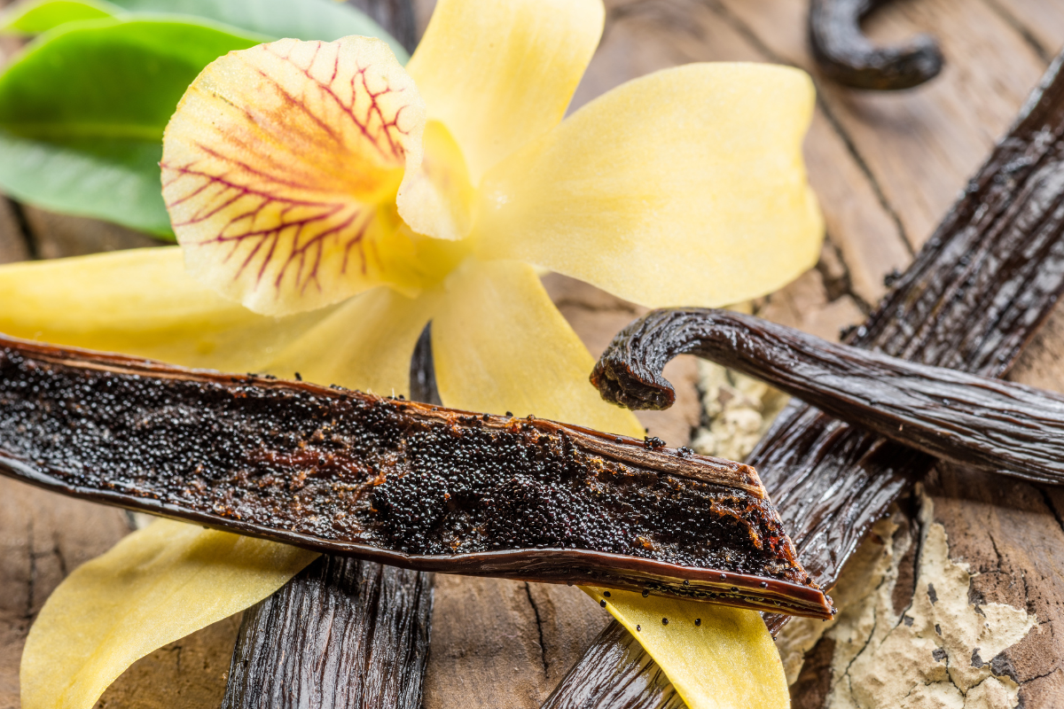 Foto: Adobe Stock