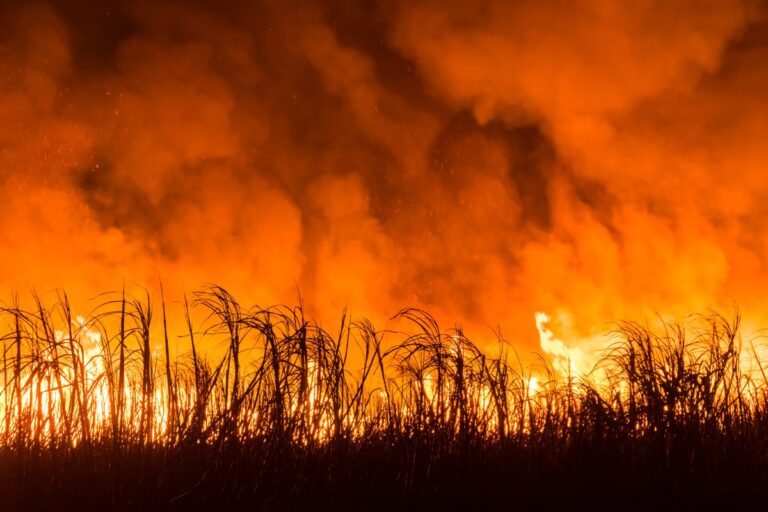 Produtores rurais mobilizados contra o fogo