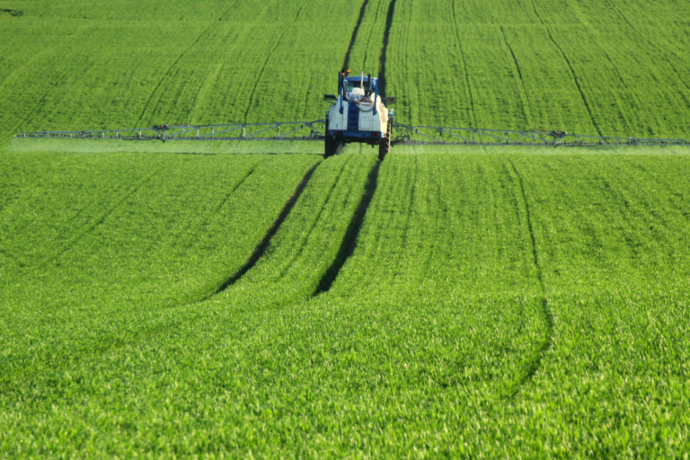 Sindiveg: área tratada com defensivos agrícolas cresceu 9,2% em 2024