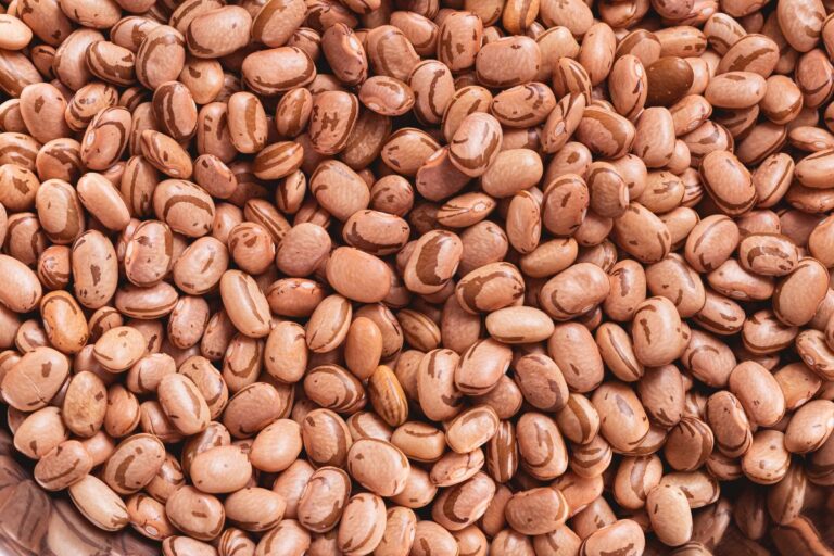 Aumenta oferta de feijão no Brasil, indica Cepea