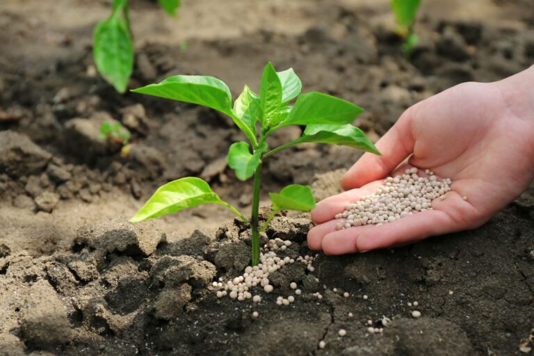 Fertilizantes: entregas em novembro crescem 5,5% ante novembro de 2023