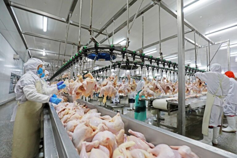 Ipardes: PR exportou em janeiro US$ 1,45 bi; carne de frango foi destaque