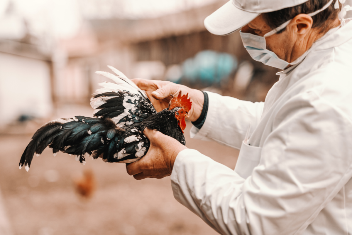Foto: Adobe Stock   