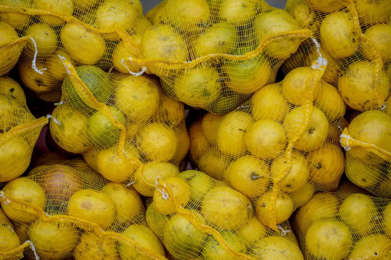 Preço da laranja recua e acumula queda de 16% em fevereiro