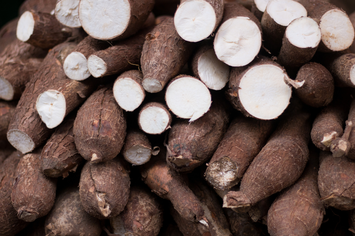 Foto: Adobe Stock