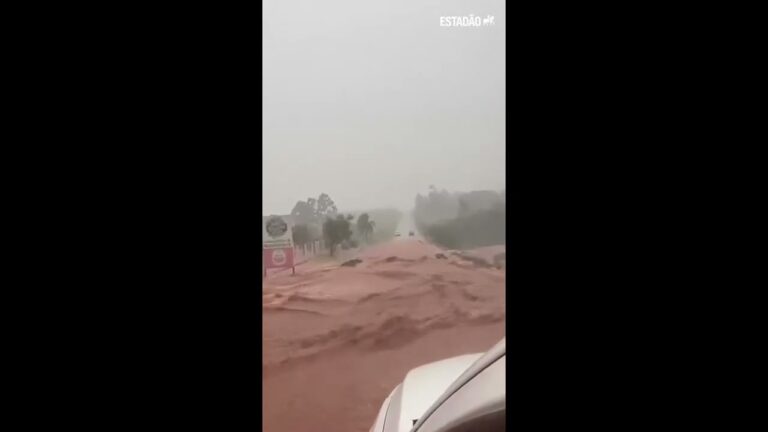  Chuvas afetam soja no Paraná, mas produtividade supera expectativas