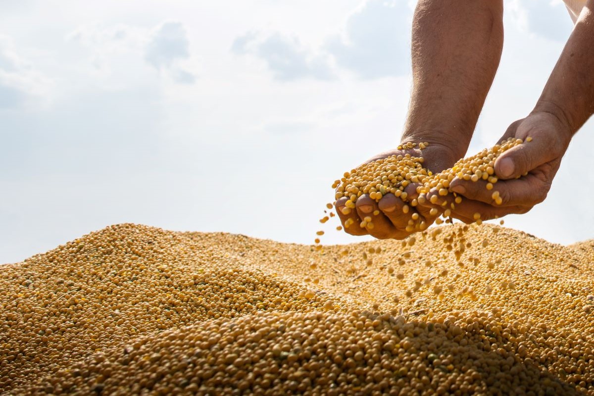 Foto: Adobe Stock