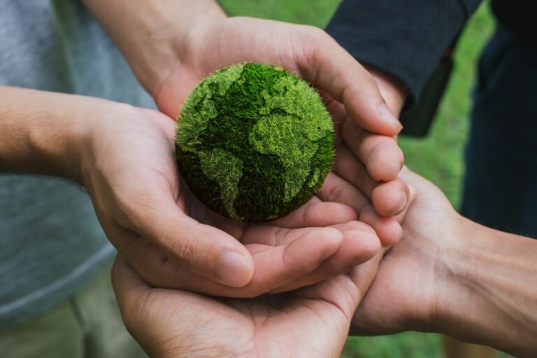 O Brasil e seu NDC: ambição verde versus realidade 