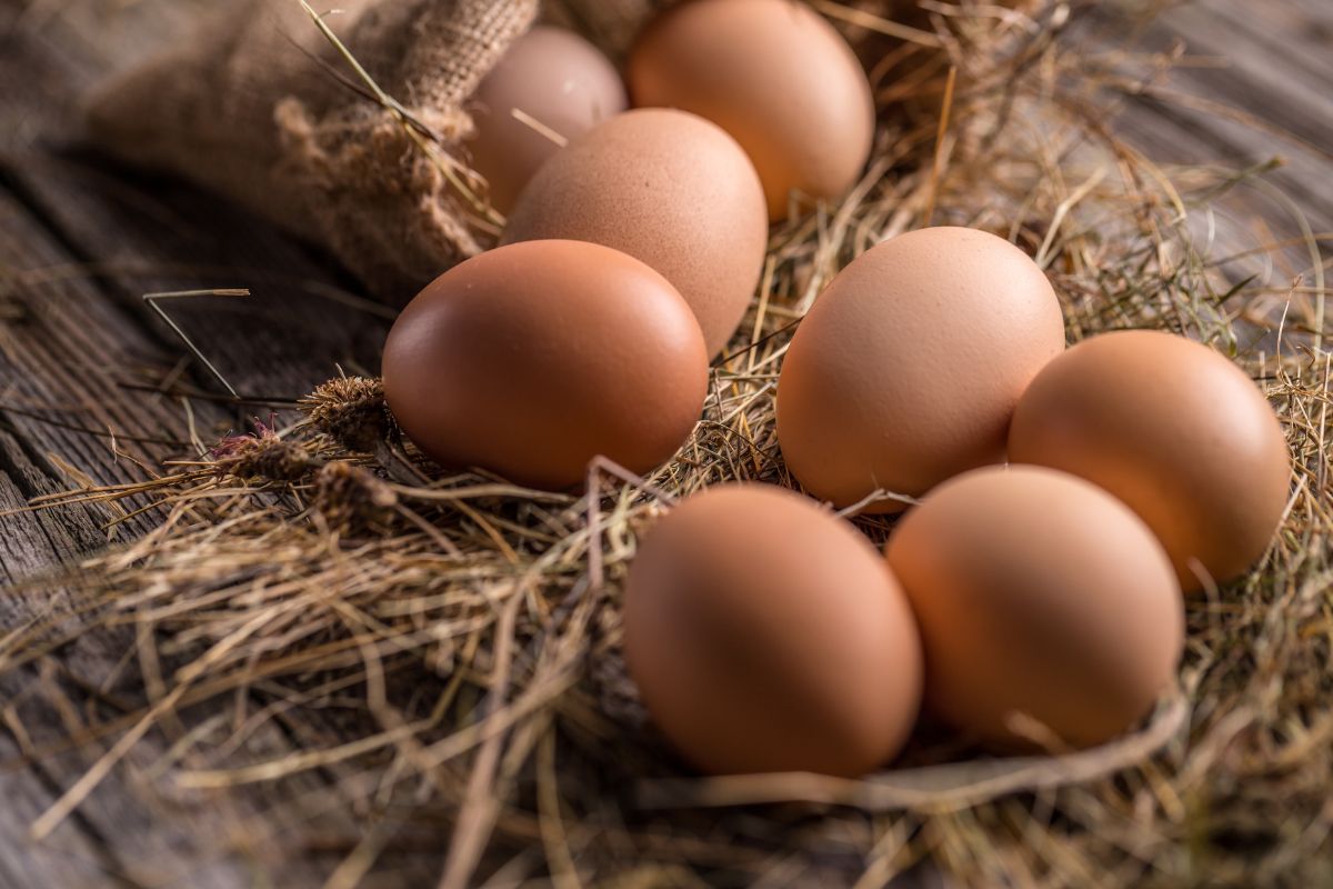 Foto: Adobe Stock