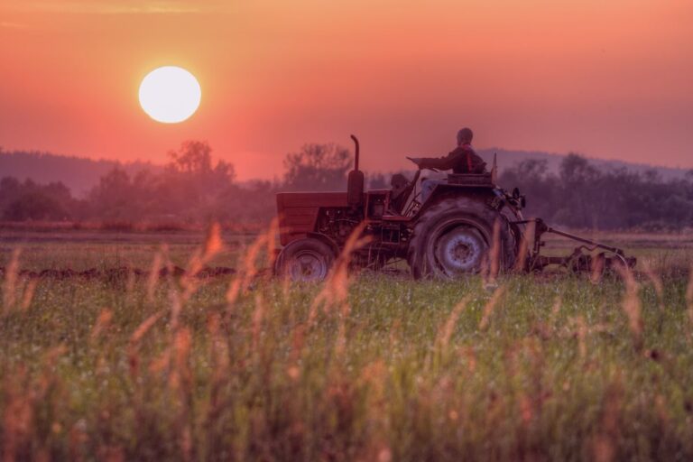 Política Agrícola: se não puder ajudar não atrapalhe