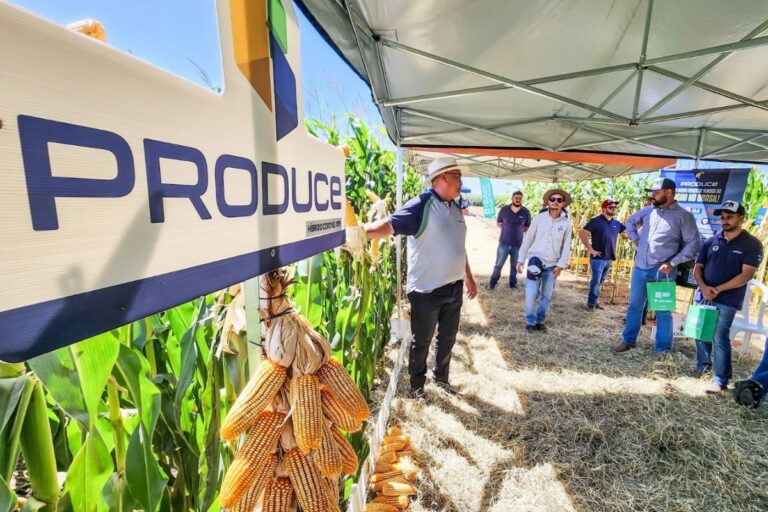 Saiba o que é venda direta no agro, modelo em expansão no país