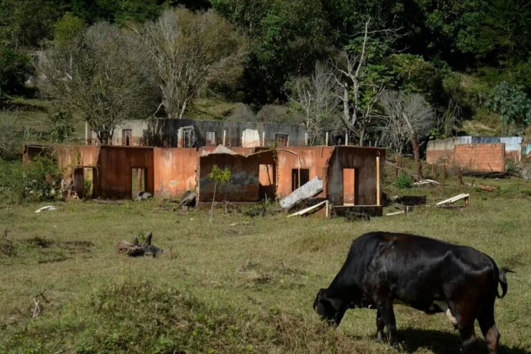 Agricultores familiares atingidos pelo rompimento da barragem de Mariana (MG) tem até março para realizarem cadastro