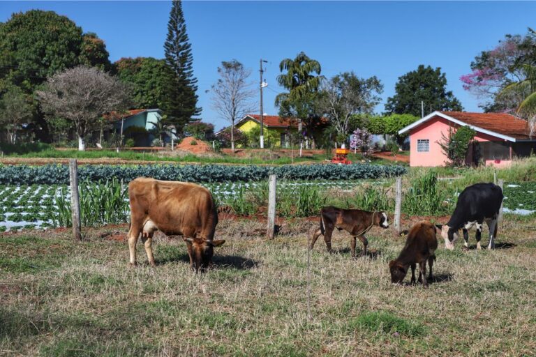 Governo do Paraná estende prazo para produtor rural adotar Nota Fiscal Eletrônica