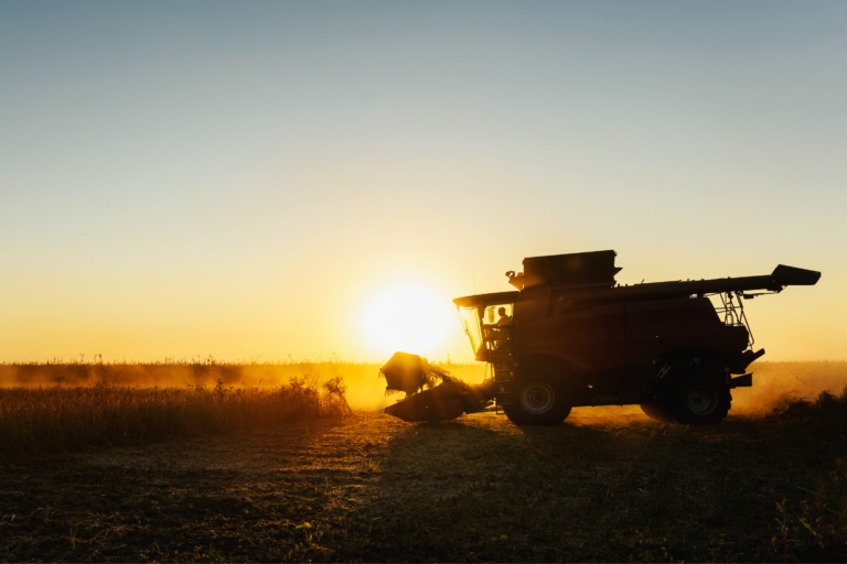 Colheita de soja atinge 39% no país, afirma AgRural