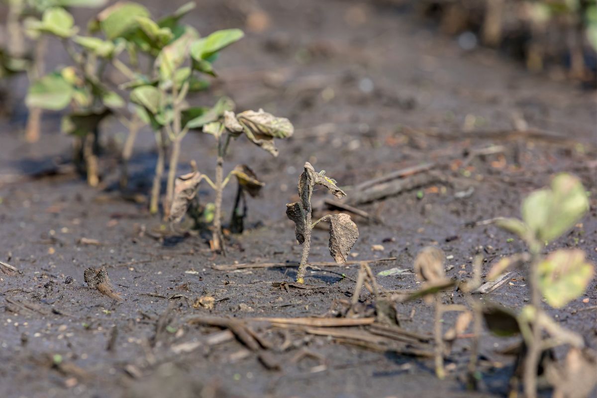 Foto: Adobe Stock