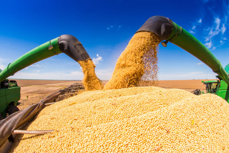 Colheita de soja começa no RS com produtividade abaixo das expectativas