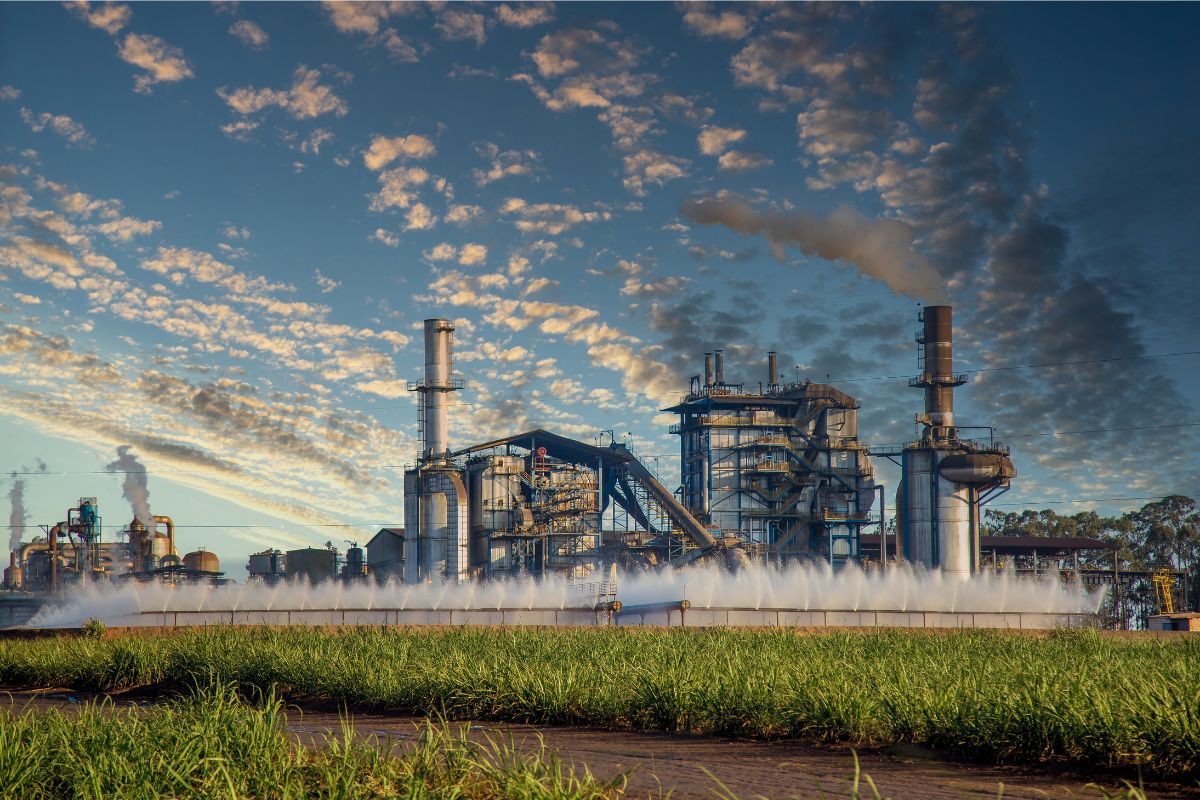 Foto: Adobe Stock