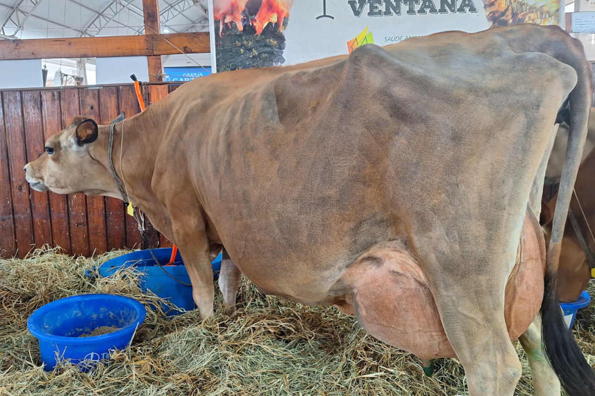 Foto: Cotricampo/Divulgação