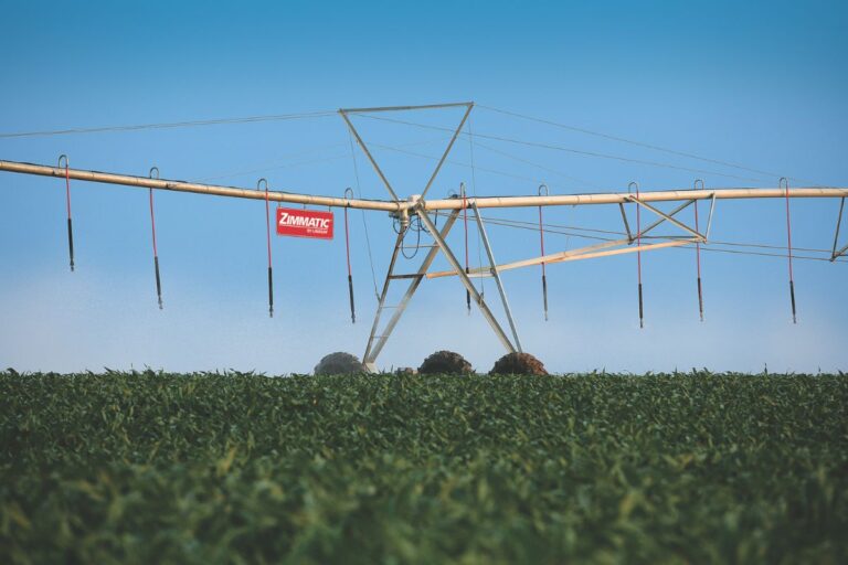 Tecnologia de irrigação aumenta produtividade e uso racional da água