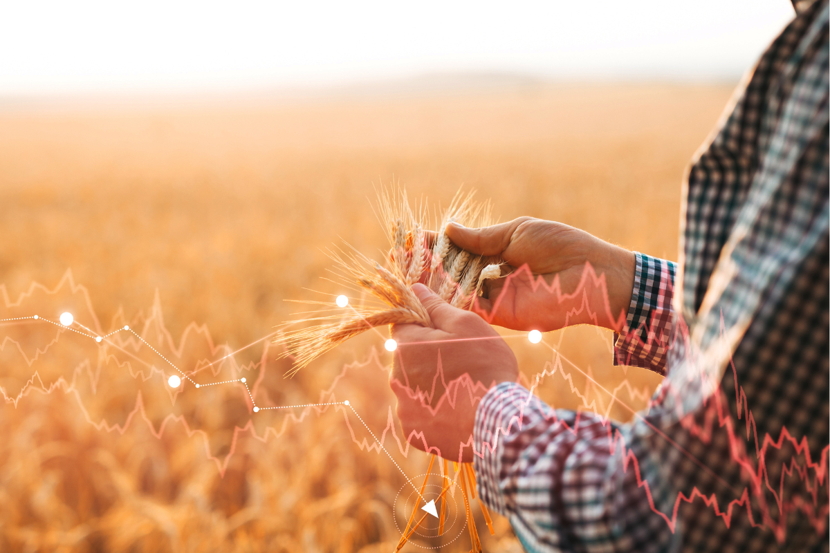 Foto: Adobe Stock