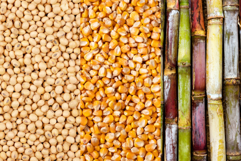 Mercado agrícola sente impacto da volatilidade