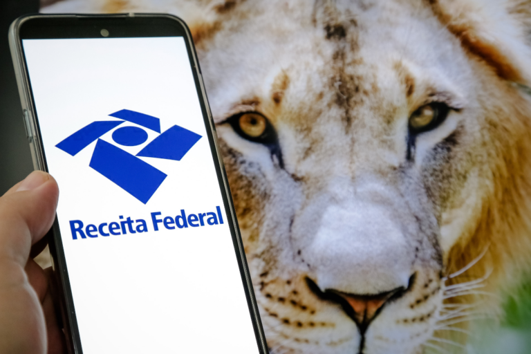Imposto de Renda 2025: prazo termina na próxima sexta-feira