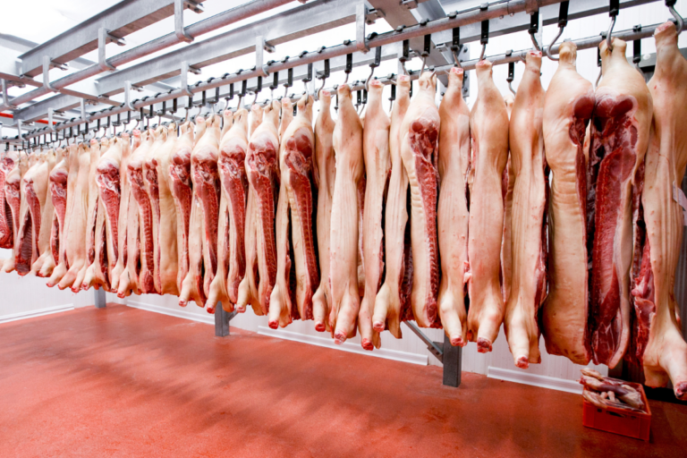 Embarque de carne suína recua em volume, mas valor por tonelada sobe