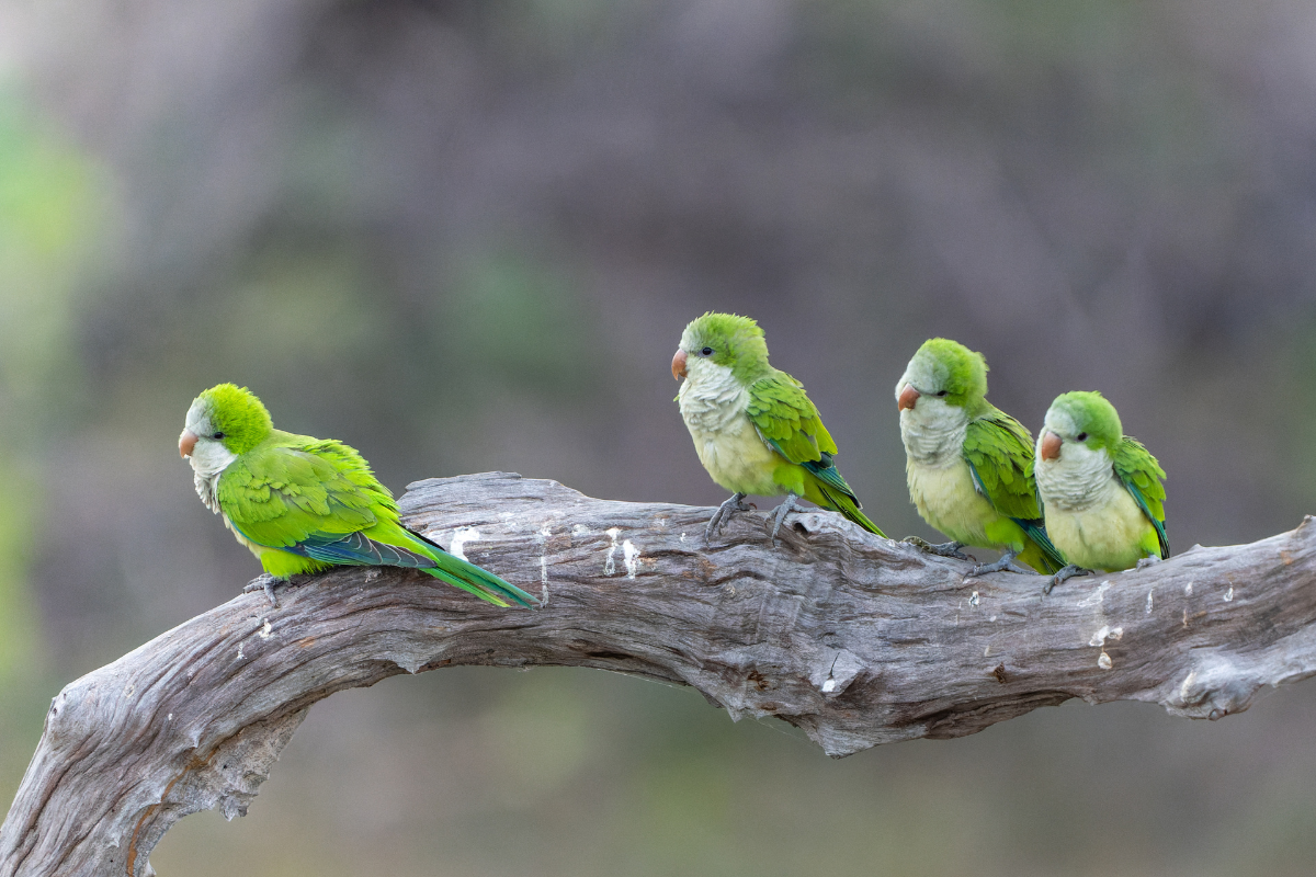 Foto: Adobe Stock